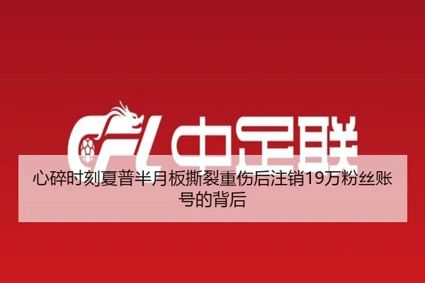 心碎时刻夏普半月板撕裂重伤后注销19万粉丝账号的背后 - MKSPORTSMKSports